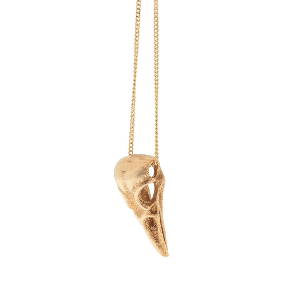 Raven Skull Necklace Ioanna Liberta